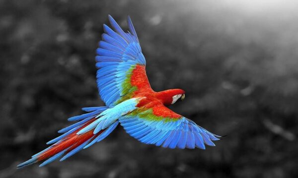 ColorsTN 900x540 1 باشگاه پرورش محصول tegory%