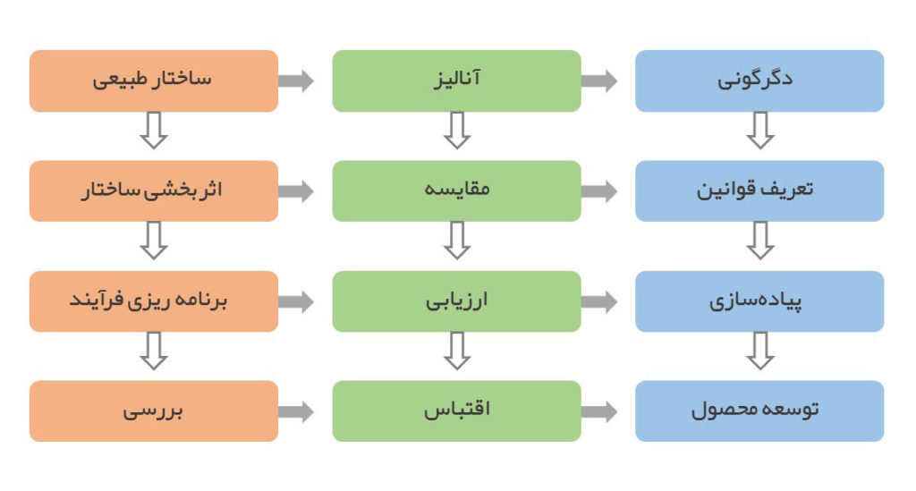 ( برگرفته از مقاله طراحی بیونیک از باربارا کولومبو) دیاگرام فرآیندی که طی می‌شود تا یک ساختار و الگوی طبیعی به یک محصول توسعه یافته برسد