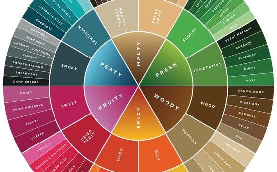 چرخه رنگ چیست و چطور از آن استفاده کنیم