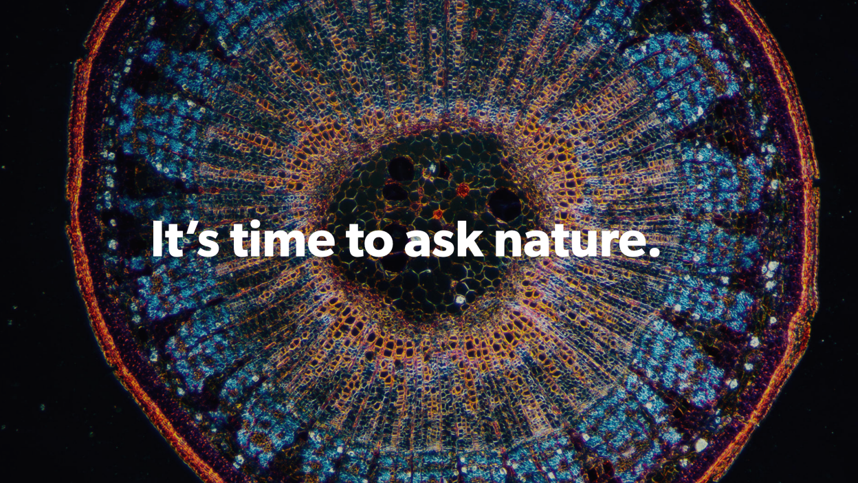 برای کشف راه‌حل از طبیعت بپرسید | AskNature
