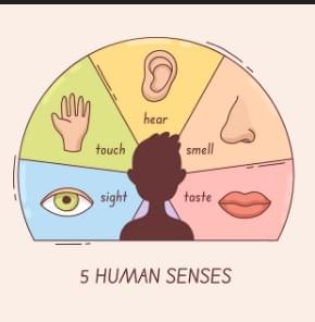 Design for all 5 senses