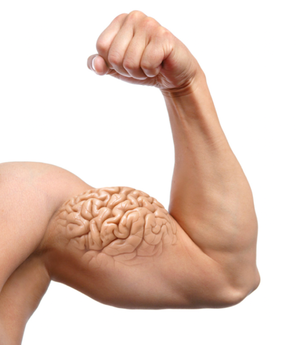 طراحی با کمک حافظه عضلانی: رابط کاربری خودران | Muscle Memory 1 طراحی با کمک حافظه عضلانی Muscle Memory