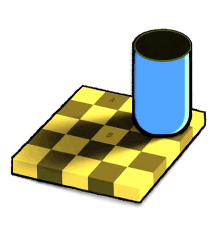 توهم بصری: جایی که چشم میبینه ولی مغز دروغ میگه 2 Checker Shadow Illusion باشگاه پرورش محصول tegory%