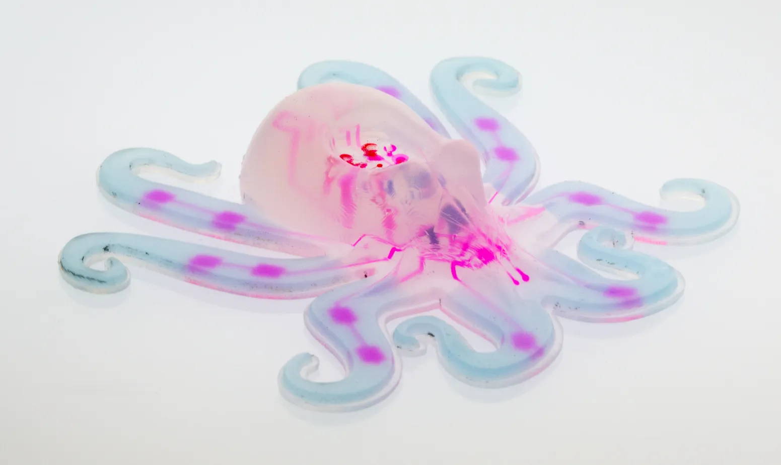 🐙 Octobot: اولین ربات نرم، بدون سیم، بدون مدار، بدون اسکلت 1 Octobot باشگاه پرورش محصول tegory%